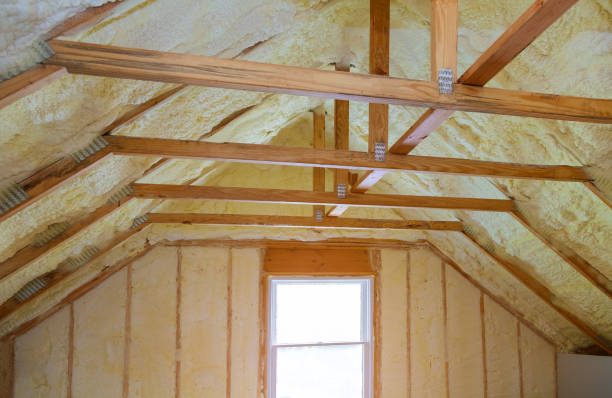 Best Residential Insulation in Shady Hills, FL