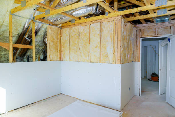Best Specialized Insulation Services in Shady Hills, FL