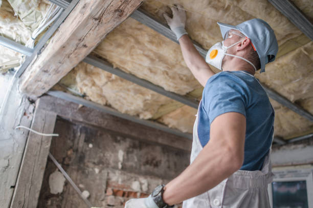 Best Energy Efficiency Insulation in Shady Hills, FL