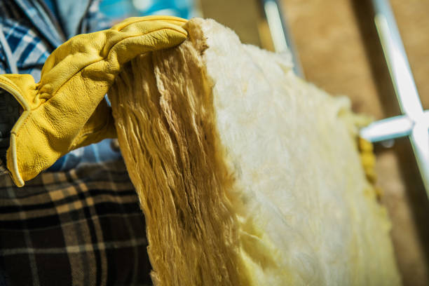 Best Eco-Friendly Insulation in Shady Hills, FL