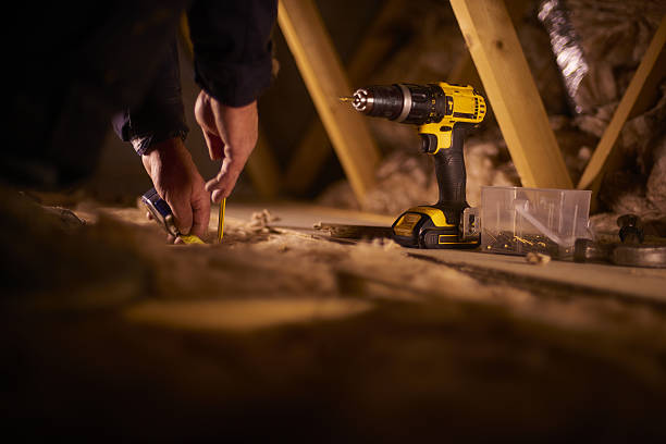 Best Geographic-Specific Insulation Services in Shady Hills, FL
